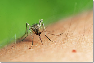 u=1678810341,2938422604&fm=11&gp=0.jpg u=1678810341,2938422604&fm=11&gp=0.jpg